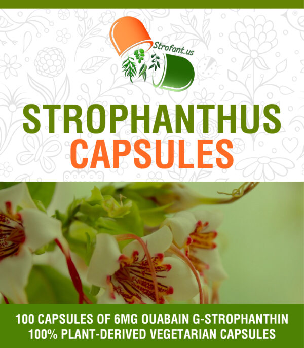 Strophanthus Gratus 6mg Eine Monatspackung – Bild 2
