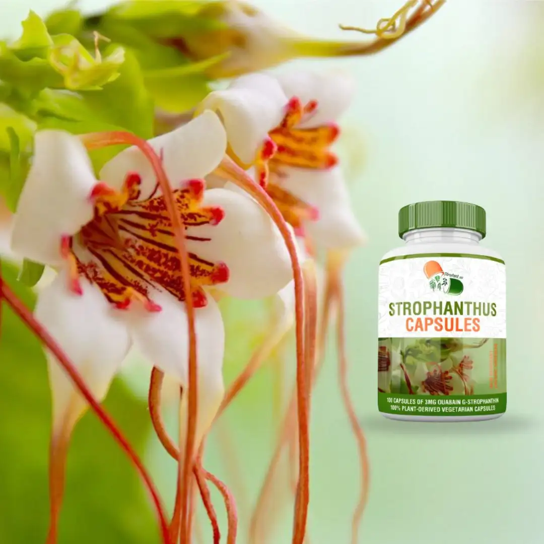 Strophanthus Gratus Plant and capsules Strofantus 3mg Kapseln